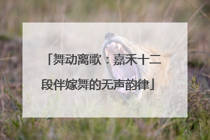 舞动离歌：嘉禾十二段伴嫁舞的无声韵律