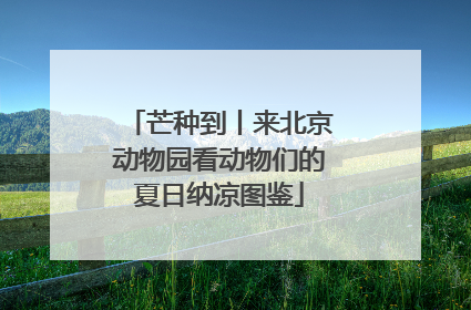 芒种到丨来北京动物园看动物们的夏日纳凉图鉴