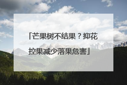 芒果树不结果？抑花控果减少落果危害