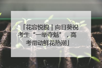 花容悦貌｜向日葵祝考生“一举夺魁”，高考带动鲜花热潮
