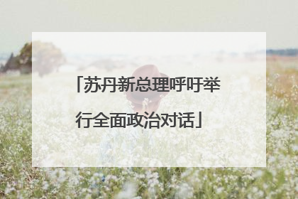 苏丹新总理呼吁举行全面政治对话