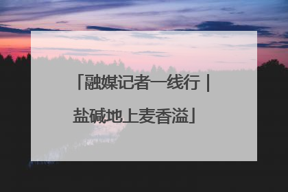 融媒记者一线行｜盐碱地上麦香溢