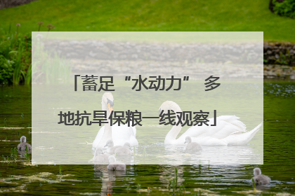 蓄足“水动力” 多地抗旱保粮一线观察