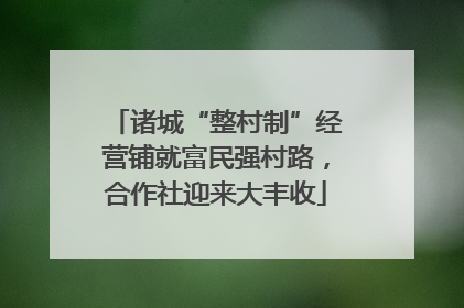 诸城“整村制”经营铺就富民强村路，合作社迎来大丰收