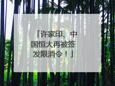 许家印、中国恒大再被签发限消令！