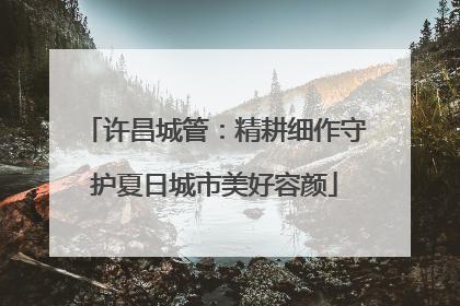 许昌城管：精耕细作守护夏日城市美好容颜