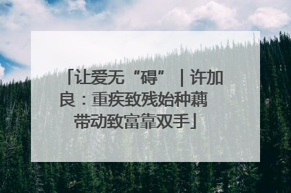 让爱无“碍”｜许加良：重疾致残始种藕 带动致富靠双手