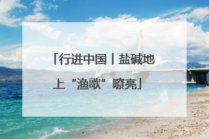 行进中国丨盐碱地上“渔歌”嘹亮