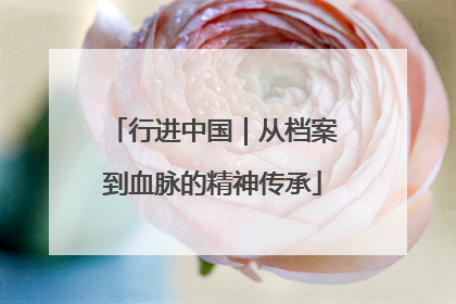 行进中国｜从档案到血脉的精神传承