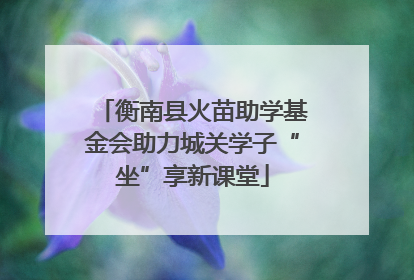 衡南县火苗助学基金会助力城关学子“坐”享新课堂