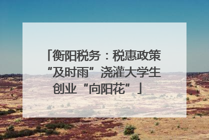 衡阳税务：税惠政策“及时雨”浇灌大学生创业“向阳花”