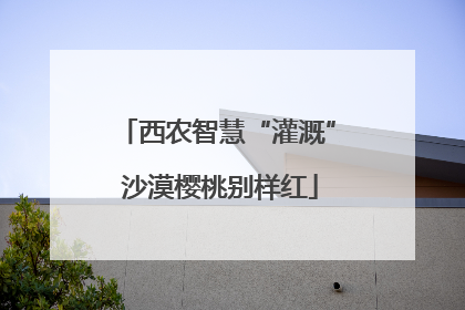 西农智慧“灌溉” 沙漠樱桃别样红