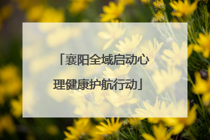 襄阳全域启动心理健康护航行动
