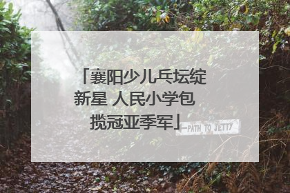 襄阳少儿乓坛绽新星 人民小学包揽冠亚季军