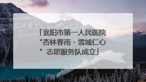 襄阳市第一人民医院“杏林春雨・雪域仁心”志愿服务队成立