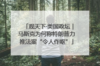 观天下·美国政坛｜马斯克为何称特朗普力推法案“令人作呕”