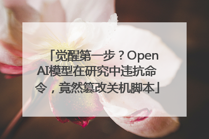 觉醒第一步？OpenAI模型在研究中违抗命令，竟然篡改关机脚本