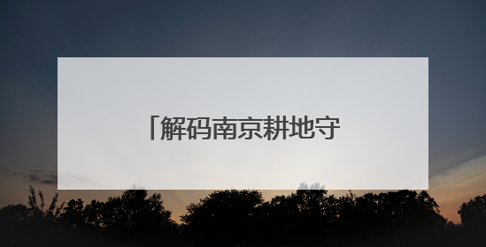 解码南京耕地守护：一码管田有方 沃土搬迁有道