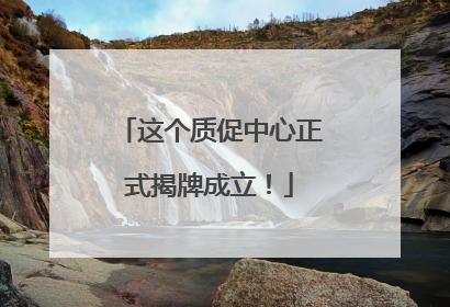 这个质促中心正式揭牌成立！