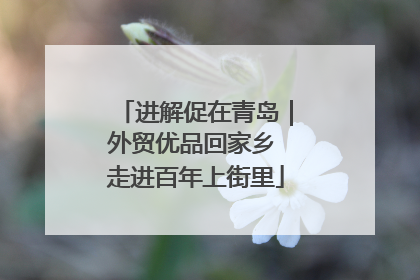 进解促在青岛｜外贸优品回家乡 走进百年上街里