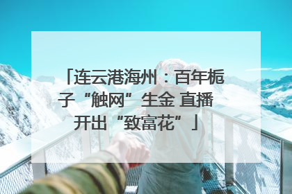 连云港海州：百年栀子“触网”生金 直播开出“致富花”