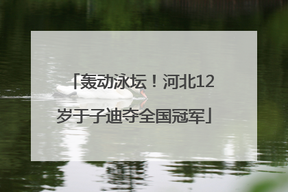 轰动泳坛！河北12岁于子迪夺全国冠军