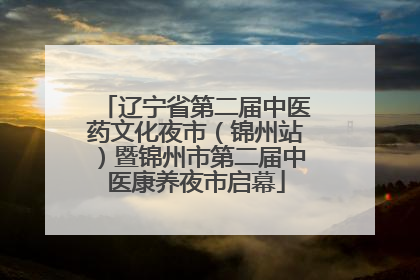 辽宁省第二届中医药文化夜市（锦州站）暨锦州市第二届中医康养夜市启幕