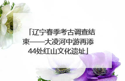 辽宁春季考古调查结束——大凌河中游再添44处红山文化遗址