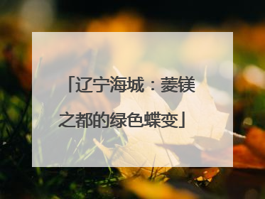 辽宁海城：菱镁之都的绿色蝶变