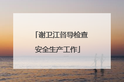 谢卫江督导检查安全生产工作