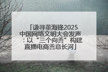 谦寻董海锋2025中国网络文明大会发声：以“三个向善”构建直播电商善意长河