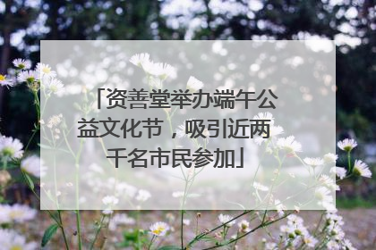 资善堂举办端午公益文化节，吸引近两千名市民参加