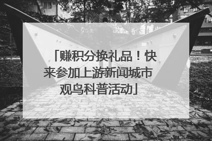 赚积分换礼品！快来参加上游新闻城市观鸟科普活动