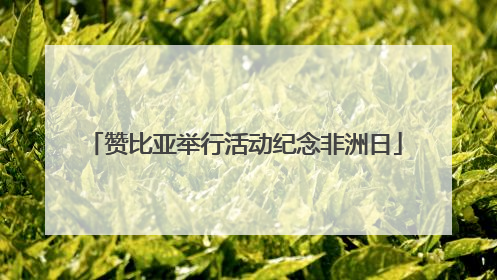 赞比亚举行活动纪念非洲日