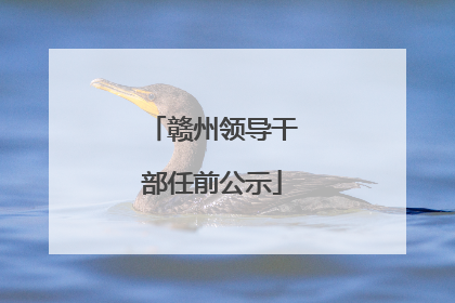 赣州领导干部任前公示