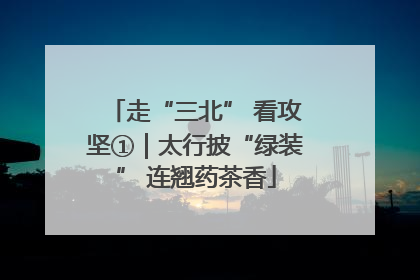 走“三北” 看攻坚①｜太行披“绿装” 连翘药茶香