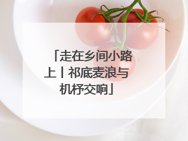 走在乡间小路上丨祁底麦浪与机杼交响