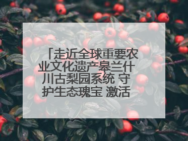 走近全球重要农业文化遗产皋兰什川古梨园系统 守护生态瑰宝 激活发展动能