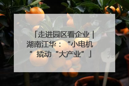 走进园区看企业｜湖南江华：“小电机”撬动“大产业”
