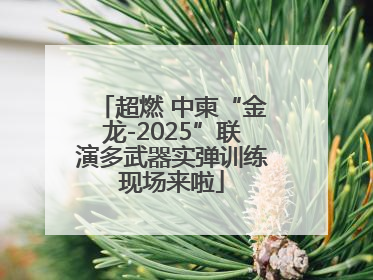 超燃 中柬“金龙-2025”联演多武器实弹训练现场来啦