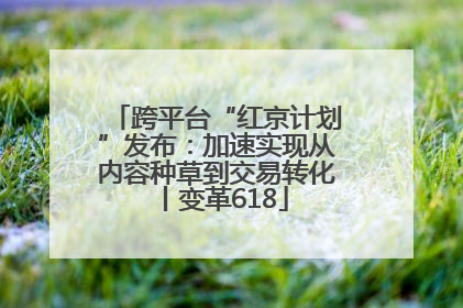 跨平台“红京计划”发布：加速实现从内容种草到交易转化丨变革618