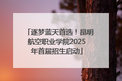 逐梦蓝天首选！昆明航空职业学院2025年首届招生启动