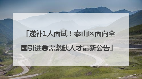 递补1人面试！泰山区面向全国引进急需紧缺人才最新公告