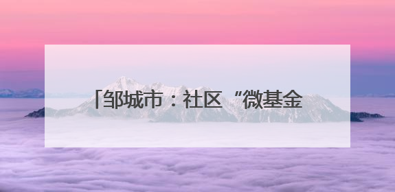 邹城市：社区“微基金”撬动基层“大治理”