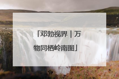邓勃视界｜万物同栖岭南图