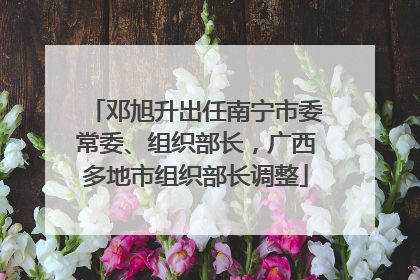 邓旭升出任南宁市委常委、组织部长，广西多地市组织部长调整