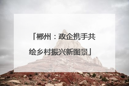 郴州：政企携手共绘乡村振兴新图景