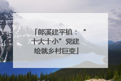 郎溪建平镇：“十大十小”党建 绘就乡村巨变