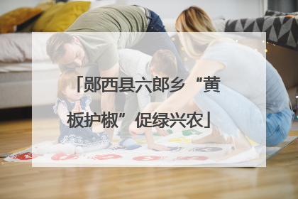 郧西县六郎乡“黄板护椒”促绿兴农