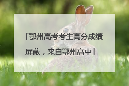 鄂州高考考生高分成绩屏蔽，来自鄂州高中